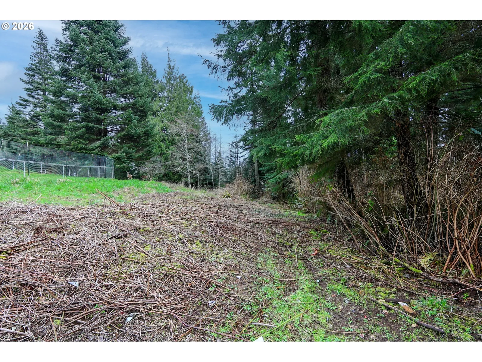 62885 Isthmus Heights Rd, Coos Bay, OR 97420 — photograph 7