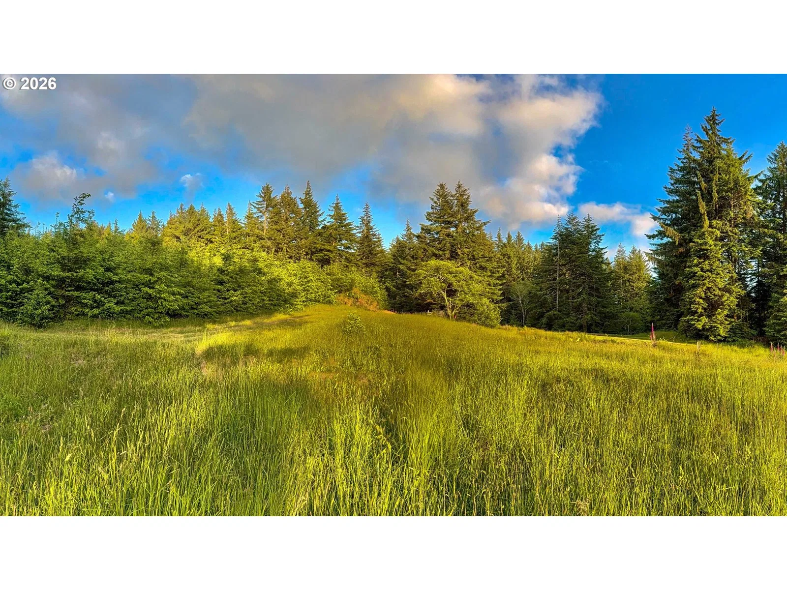 45721 Highway 101, Langlois, OR 97450 — photograph 6