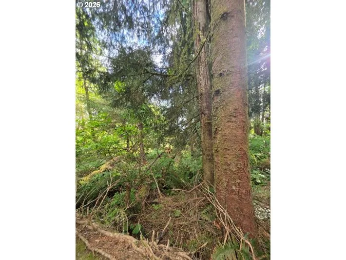 2403/2410 Birch St, Cannon Beach, OR 97110 — photograph 10
