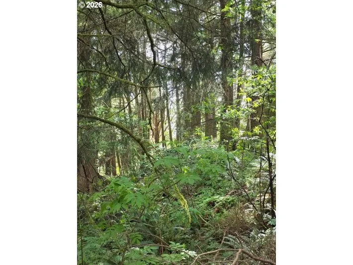 2403/2410 Birch St, Cannon Beach, OR 97110 — photograph 11