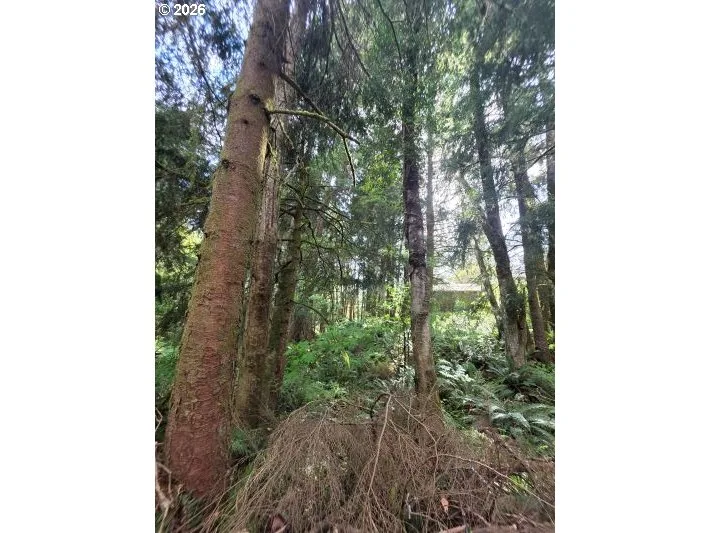 2403/2410 Birch St, Cannon Beach, OR 97110 — photograph 12