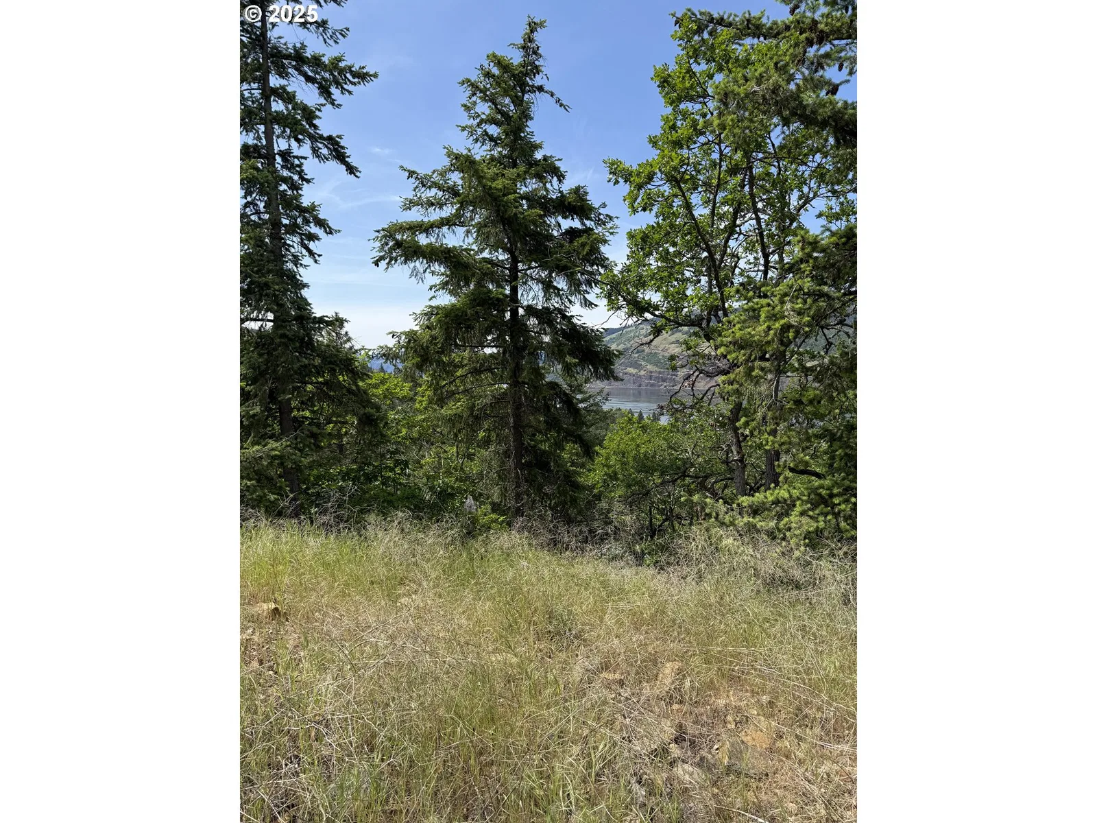 Coyote Ct Lot #42, Mosier, OR 97040 — photograph 15