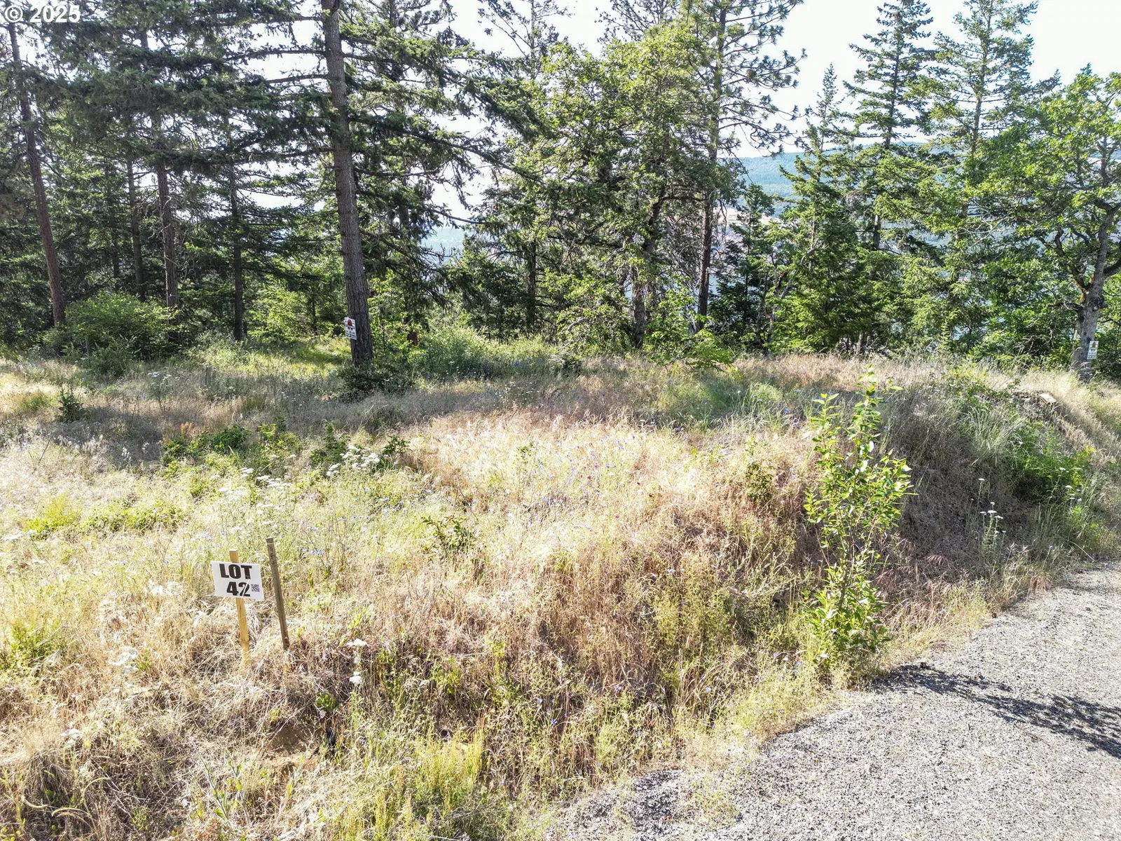 Coyote Ct Lot #42, Mosier, OR 97040 — photograph 7