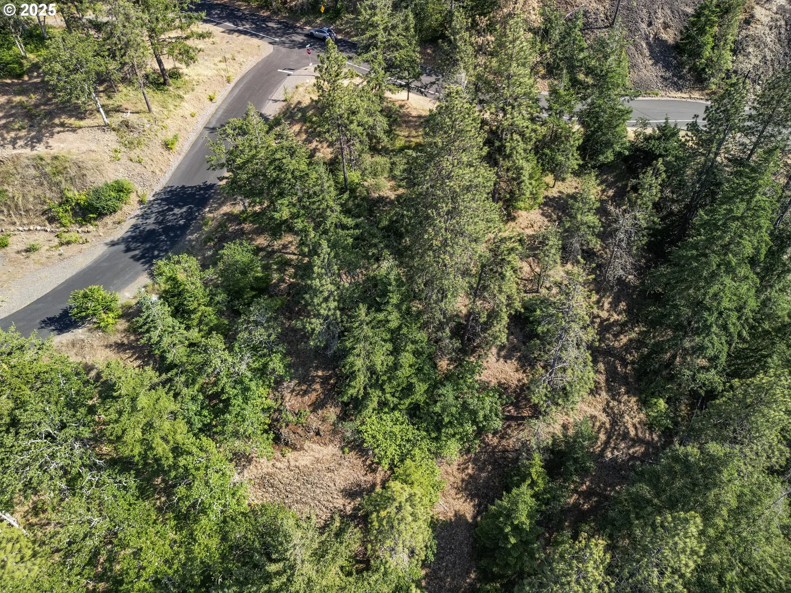 Coyote Ct Lot #42, Mosier, OR 97040 — photograph 17