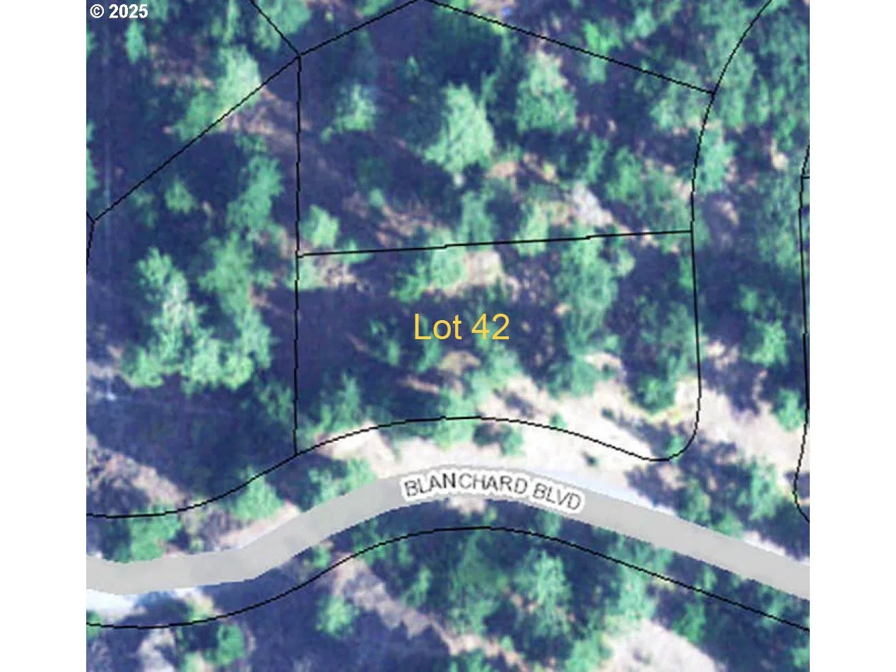Coyote Ct Lot #42, Mosier, OR 97040 — photograph 18