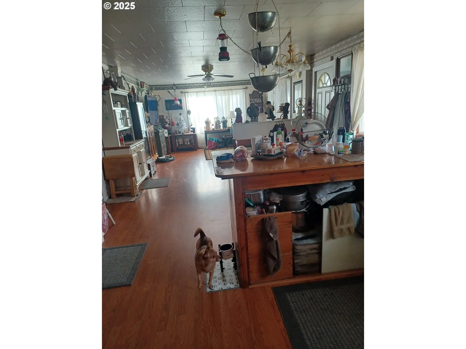 527 S Dewey St, Union, OR 97883 — photograph 14