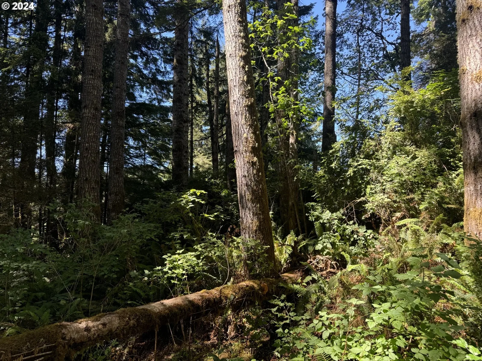 3 Hilltop Dr 1500, Lakeside, OR 97449 — photograph 12