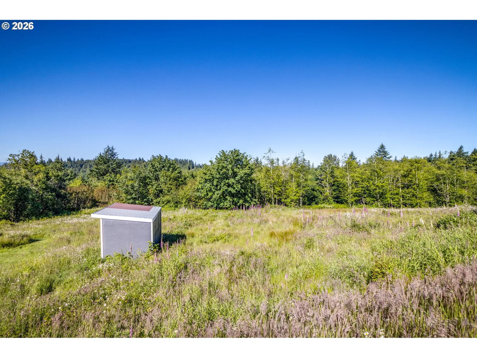 268 Walker Rd, Kelso, Wa 98626 — photograph 8