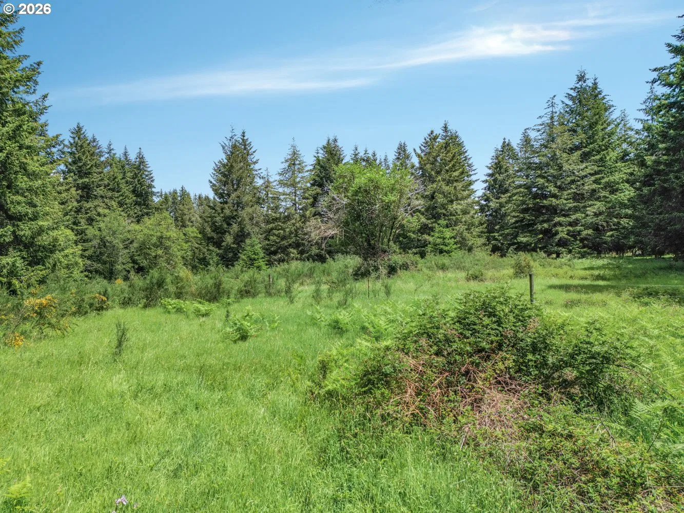 24315 SE Firwood Rd, Sandy, OR 97055 — photograph 13