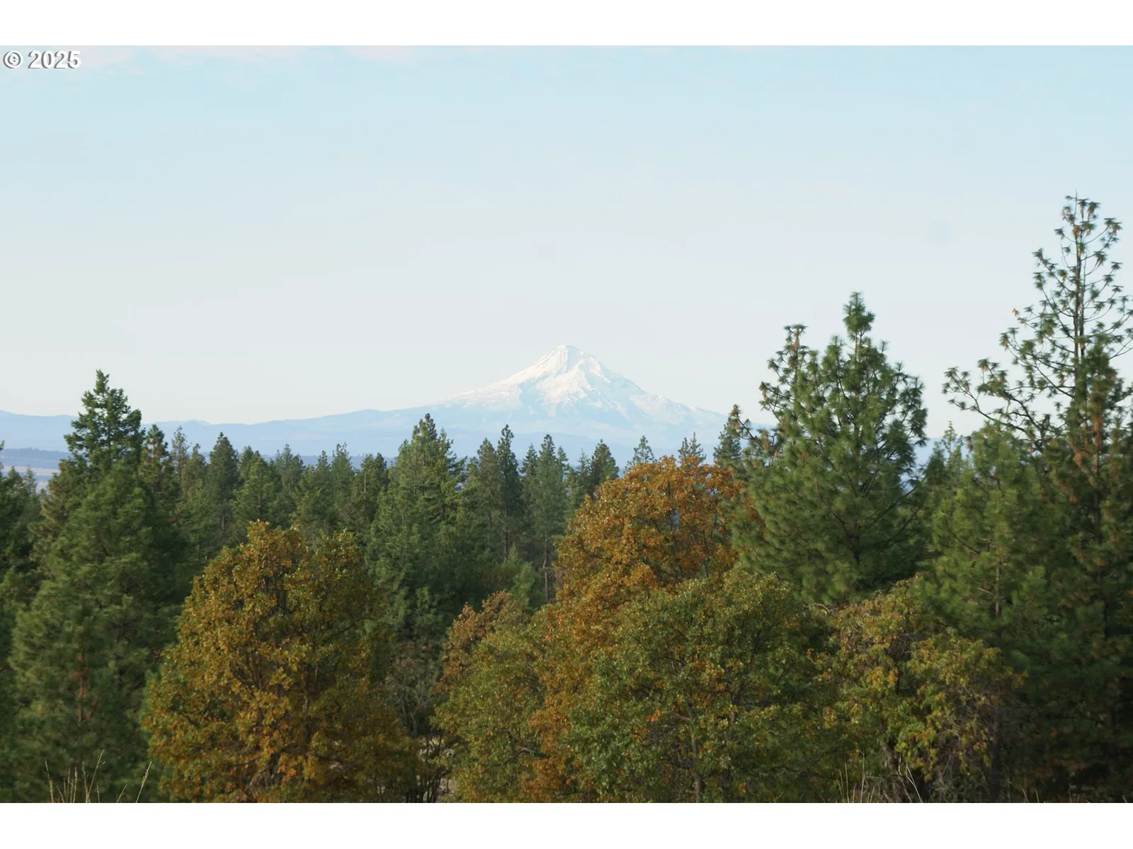 8 Ginger Way, Goldendale, Wa 98620 — photograph 12