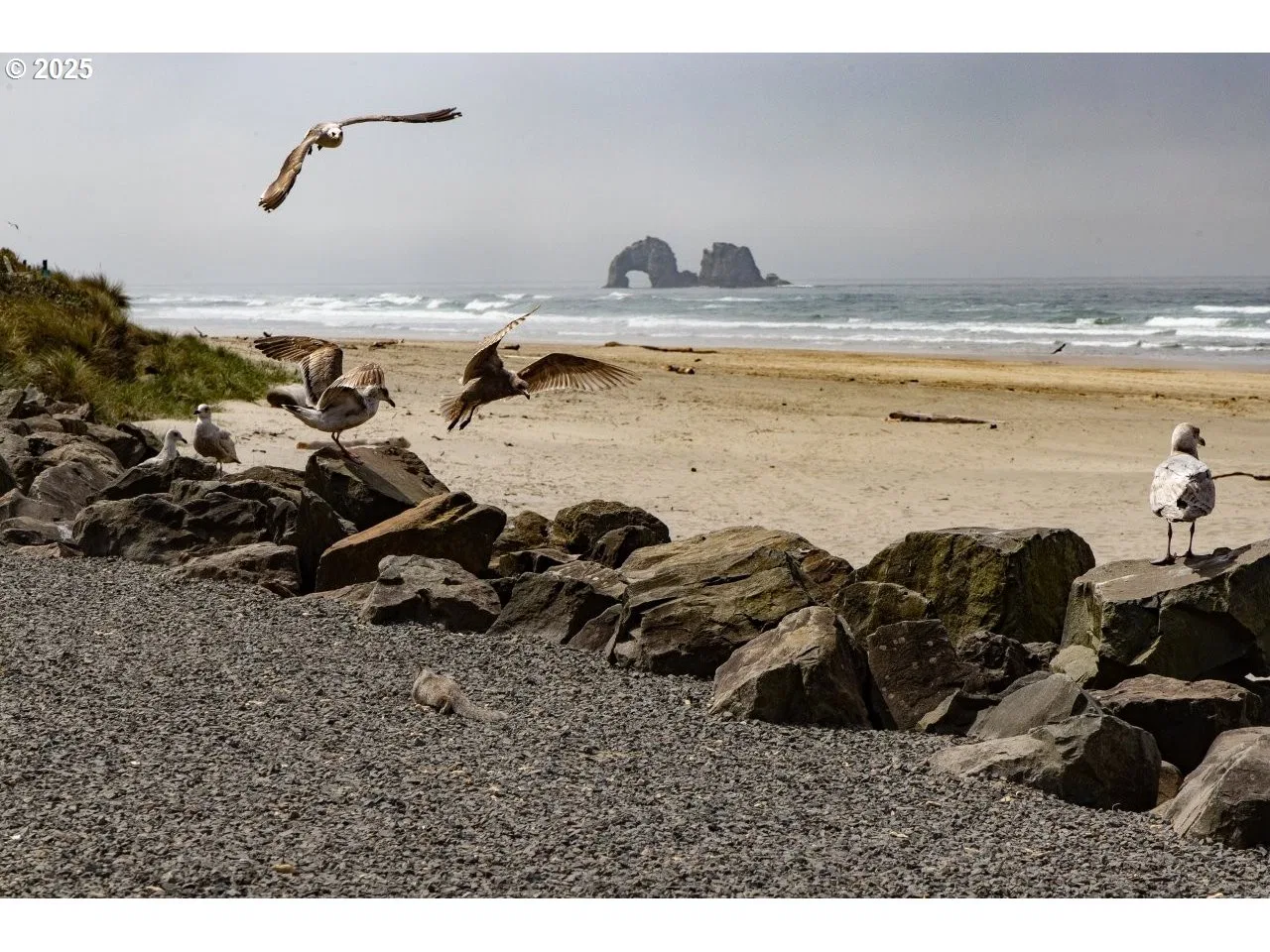 302 S Quadrant St, Rockaway Beach, OR 97136 — photograph 33