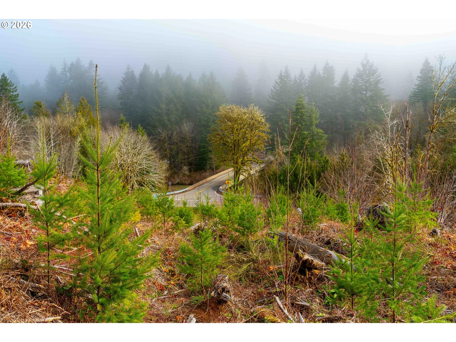 126 Hwy, Walton, OR 97490 — photograph 17