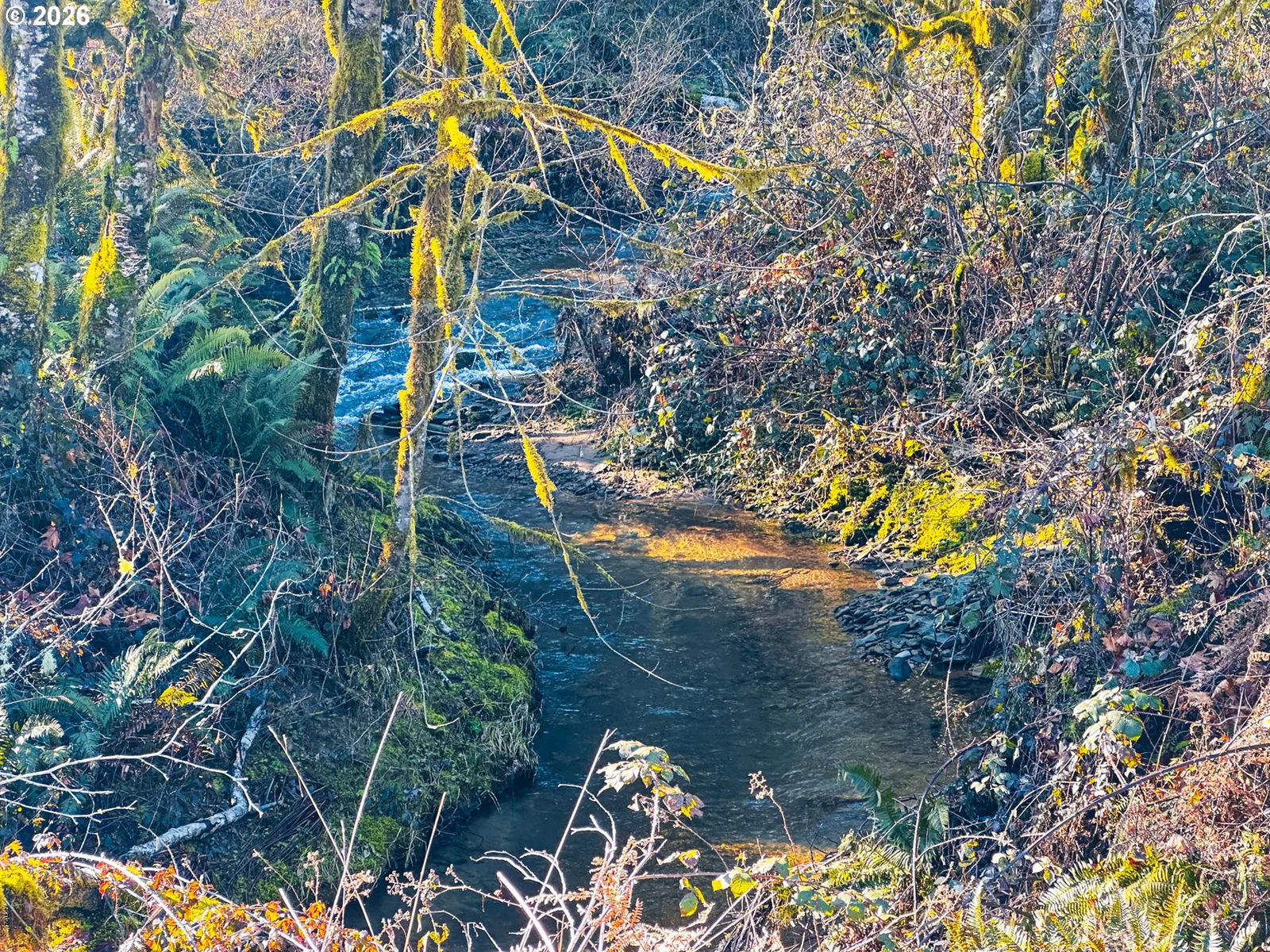126 Hwy, Walton, OR 97490 — photograph 40