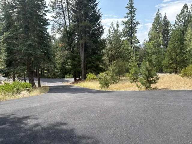141239 Red Cone Dr, Crescent Lake, OR 97733 — photograph 44