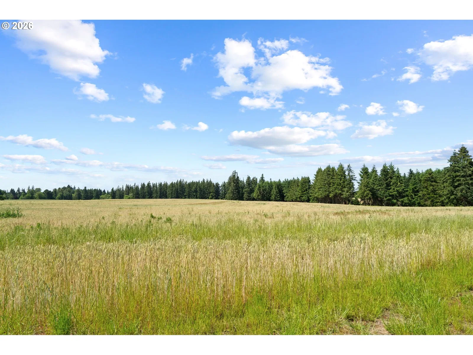 9931 S Highway 211, Canby, OR 97013 — photograph 41
