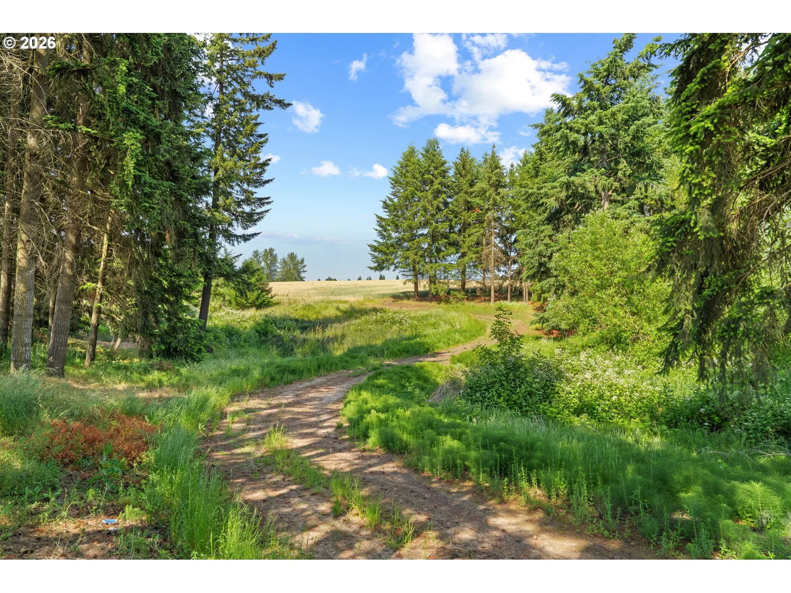 9931 S Highway 211, Canby, OR 97013 — photograph 43
