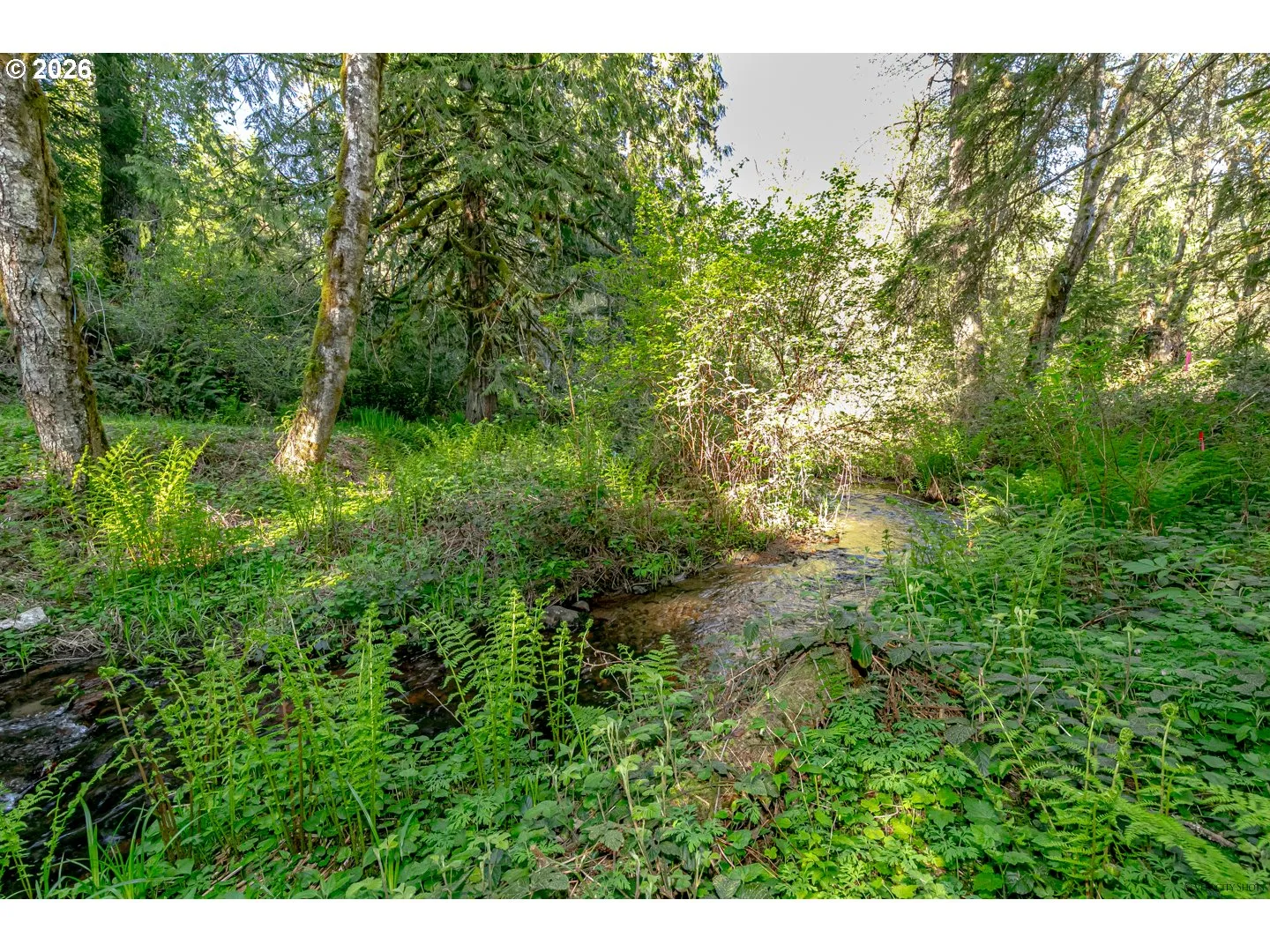 42440 SE Wildcat Mountain Dr, Sandy, OR 97055 — photograph 42