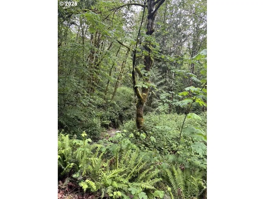 33318 SE Funny Farm Rd, Estacada, OR 97023 — photograph 27