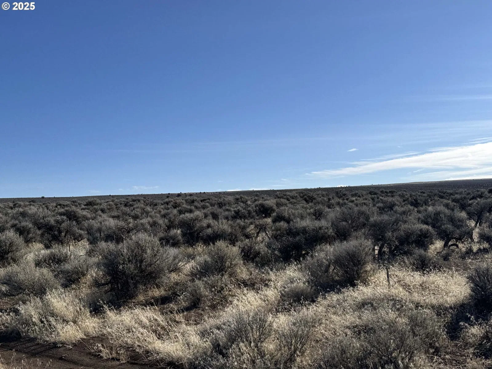 Fermac Rd L-2000, Christmas Valley, OR 97641 — photograph 19