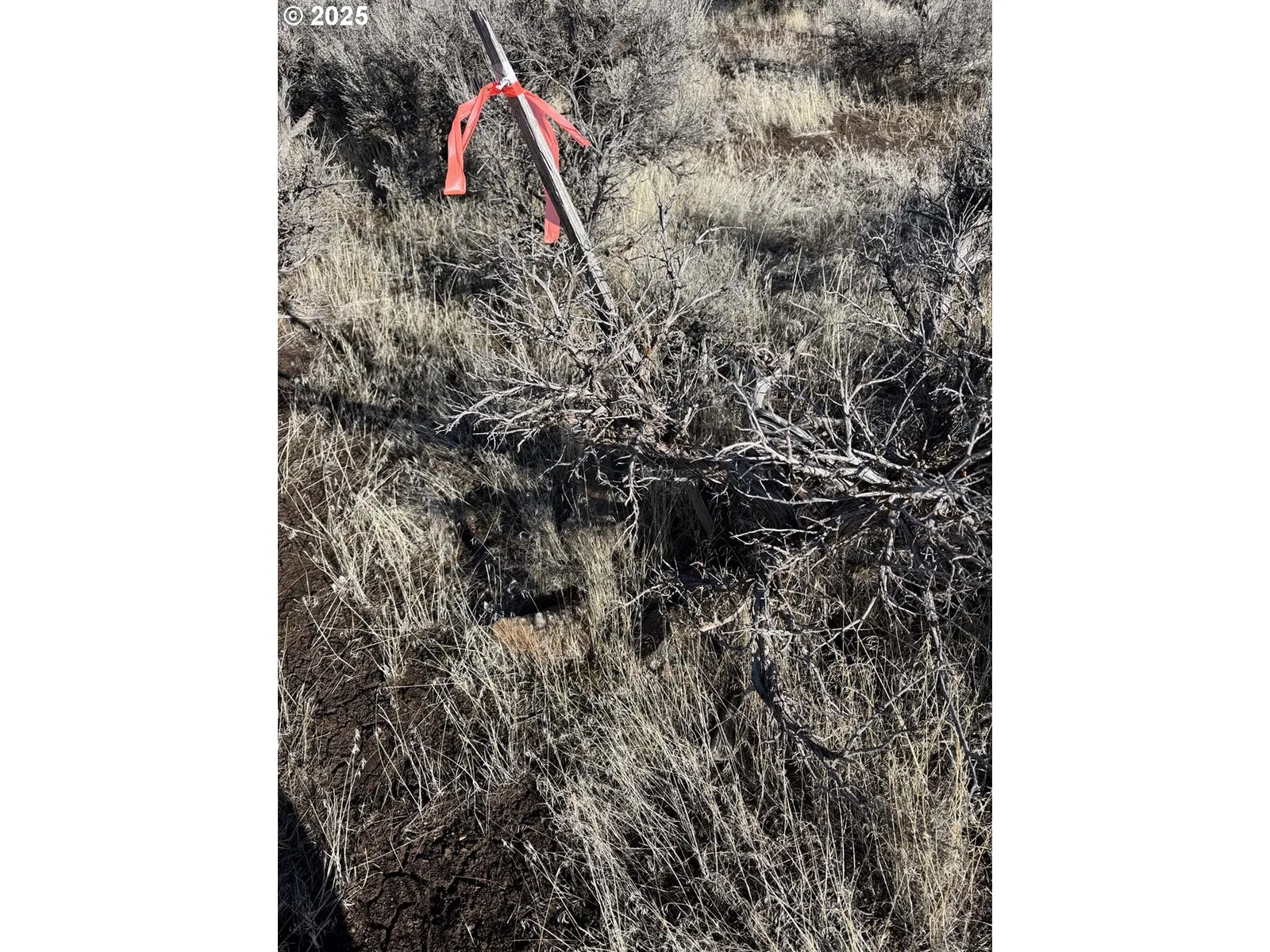 Fermac Rd L-2000, Christmas Valley, OR 97641 — photograph 25