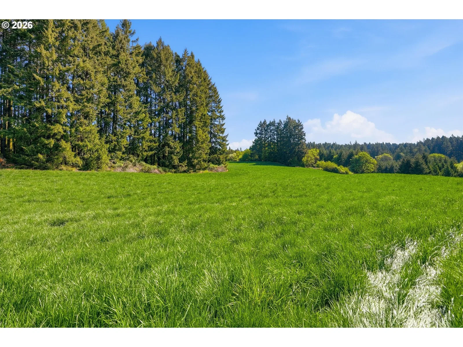 20270 NW Pihl Rd, Banks, OR 97106 — photograph 13