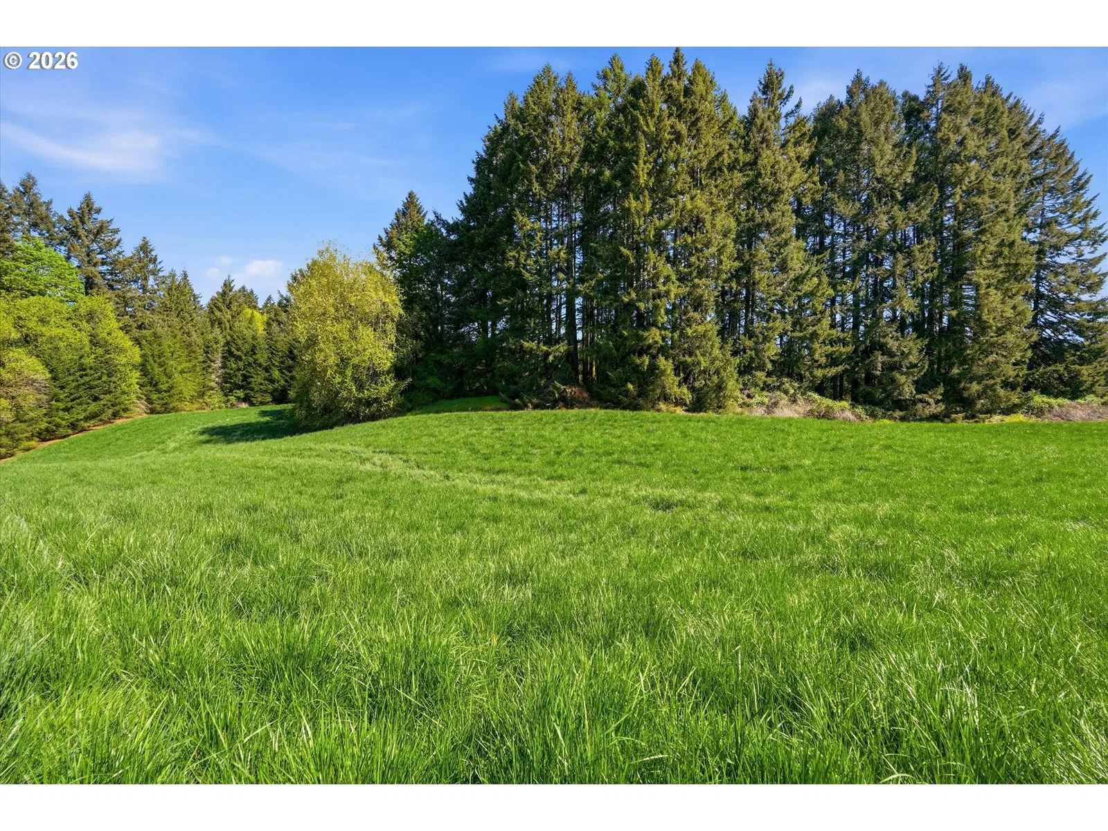 20270 NW Pihl Rd, Banks, OR 97106 — photograph 14