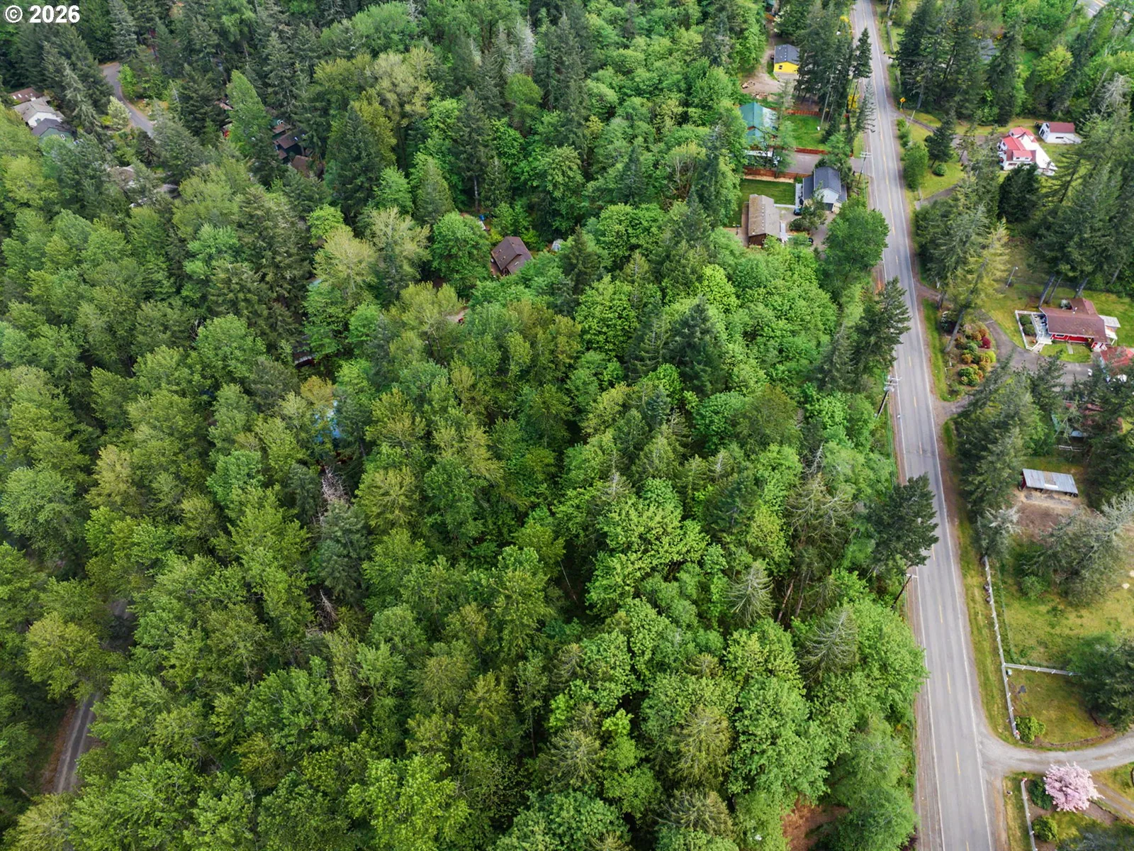 0 E Brightwood Loop Rd, Brightwood, OR 97011 — photograph 9