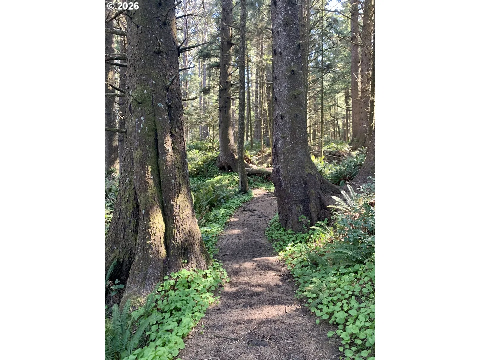 181 W Sitka St, Cannon Beach, OR 97110 — photograph 43