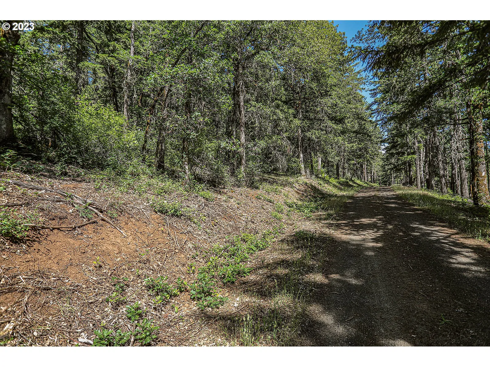 Lyons Rd, White Salmon, Wa 98672 — photograph 20