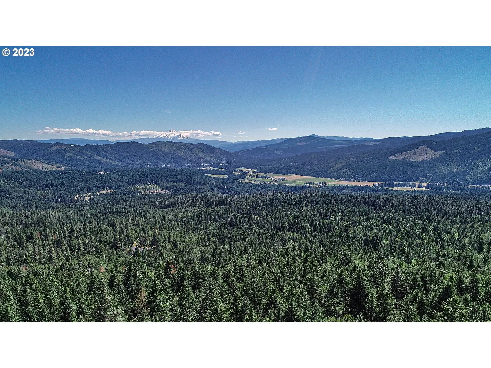 Lyons Rd, White Salmon, Wa 98672 — photograph 29