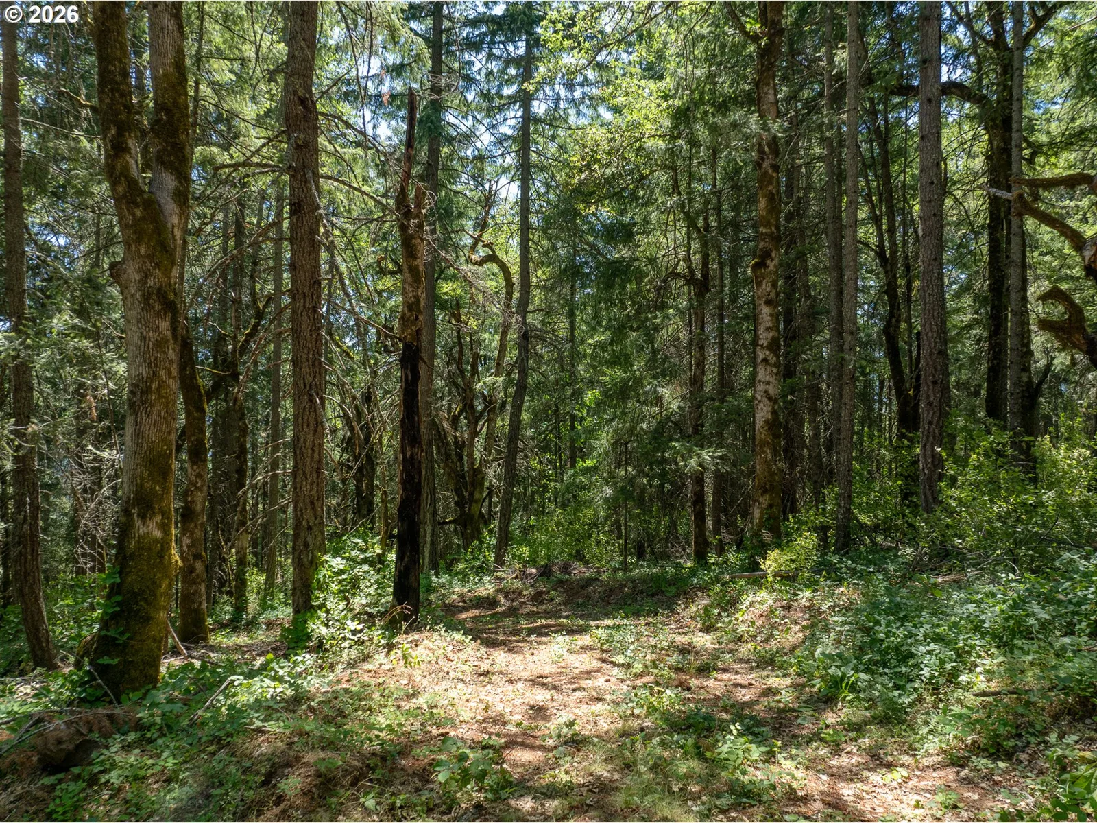 Lyons Rd, White Salmon, Wa 98672 — photograph 35