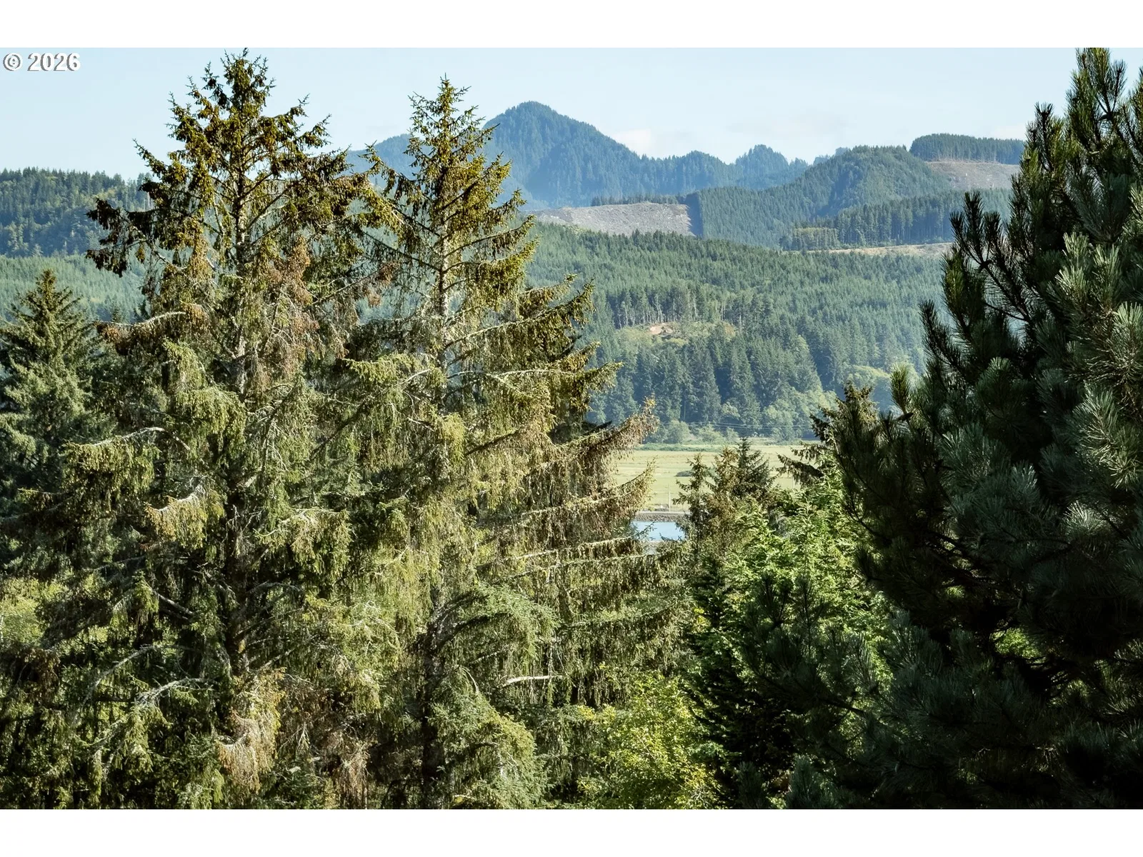 13150 D St #17, Nehalem, OR 97131 — photograph 15