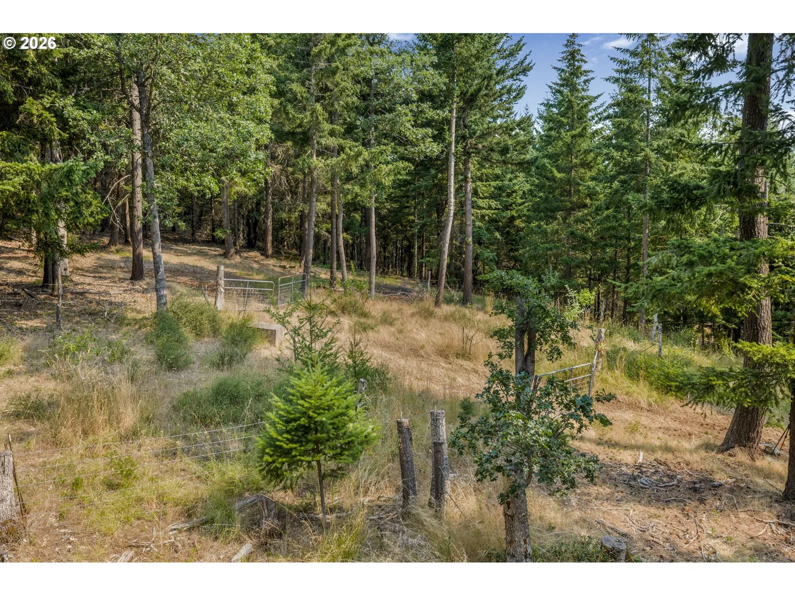 Lyle Snowden Rd, Lyle, Wa 98635 — photograph 6