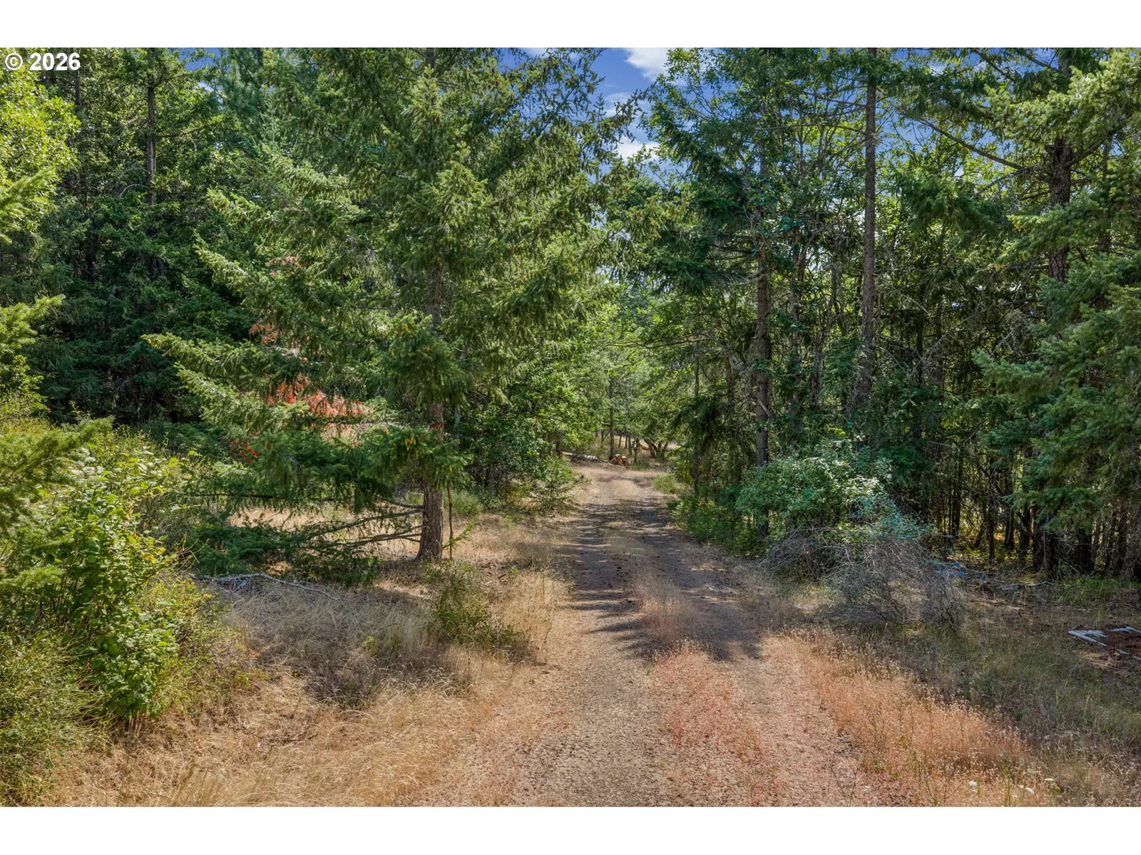 Lyle Snowden Rd, Lyle, Wa 98635 — photograph 13