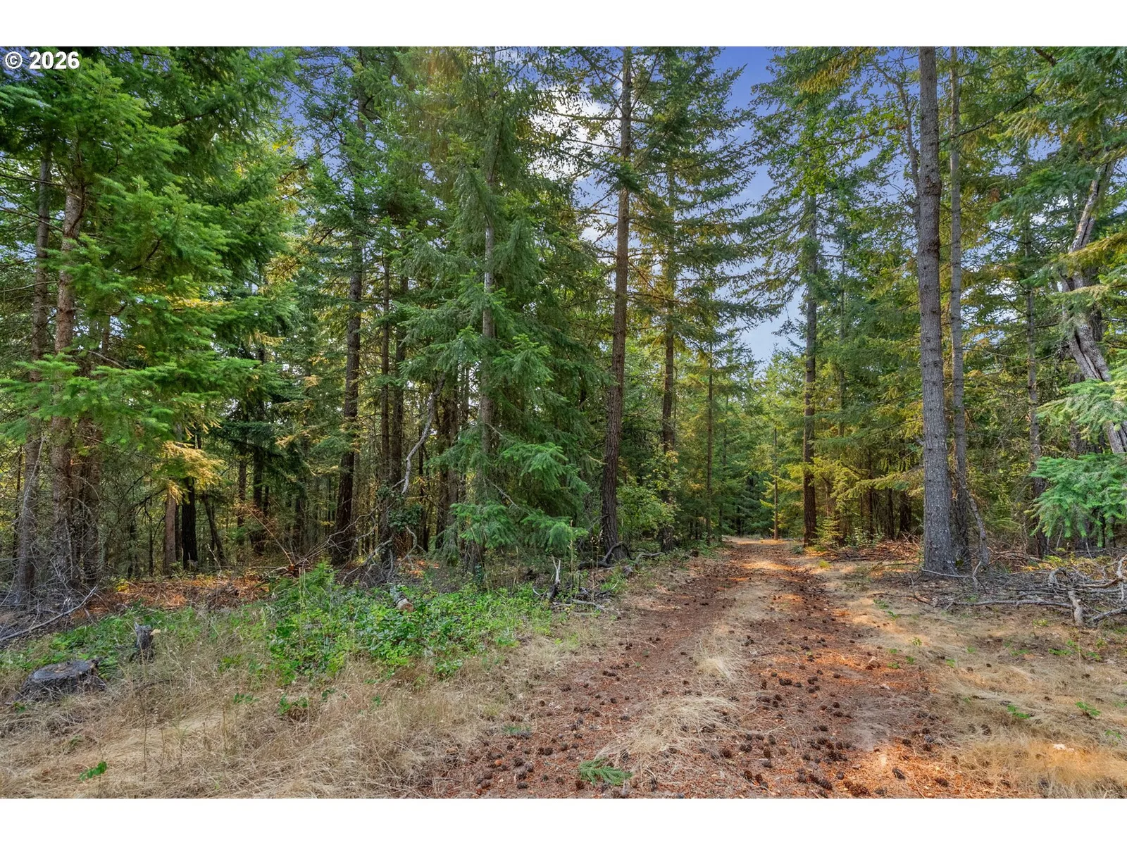 Lyle Snowden Rd, Lyle, Wa 98635 — photograph 16