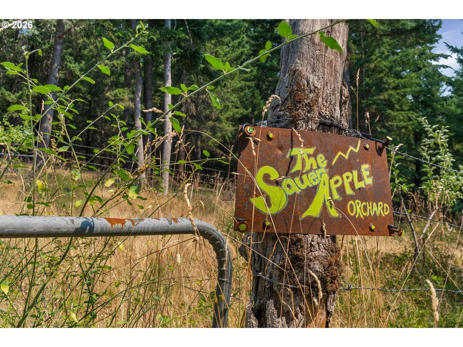 Lyle Snowden Rd, Lyle, Wa 98635 — photograph 17