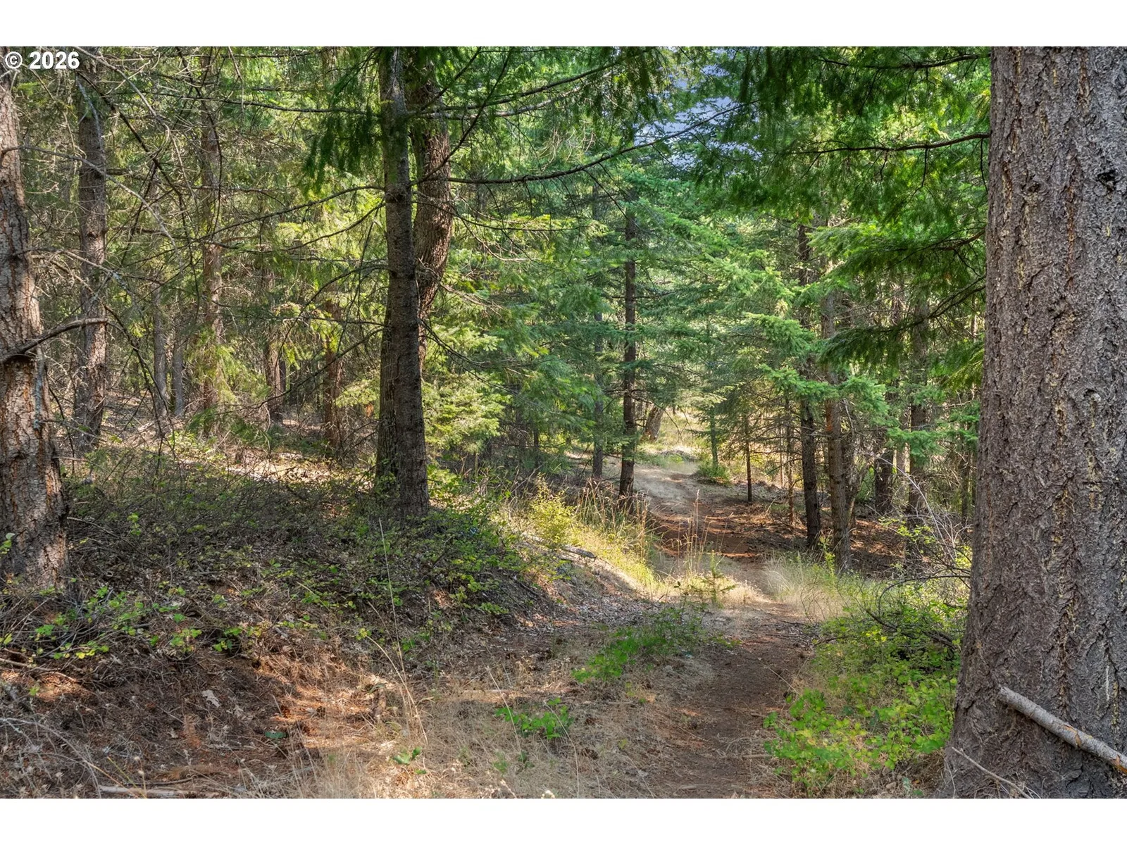 Lyle Snowden Rd, Lyle, Wa 98635 — photograph 21