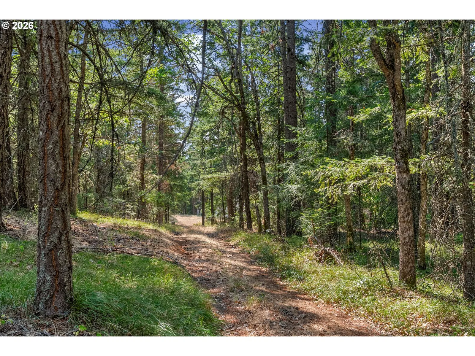 Lyle Snowden Rd, Lyle, Wa 98635 — photograph 22