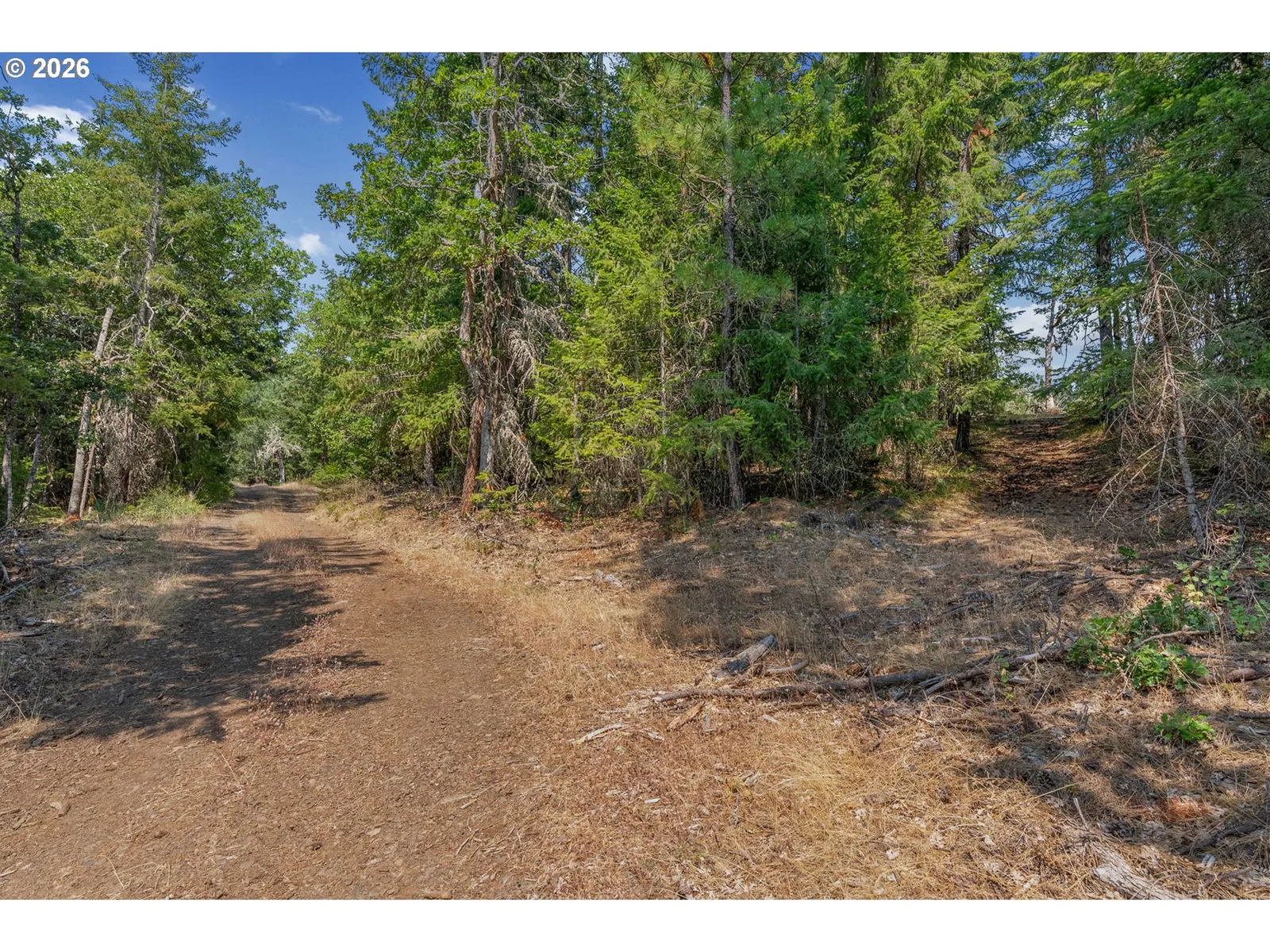 Lyle Snowden Rd, Lyle, Wa 98635 — photograph 28