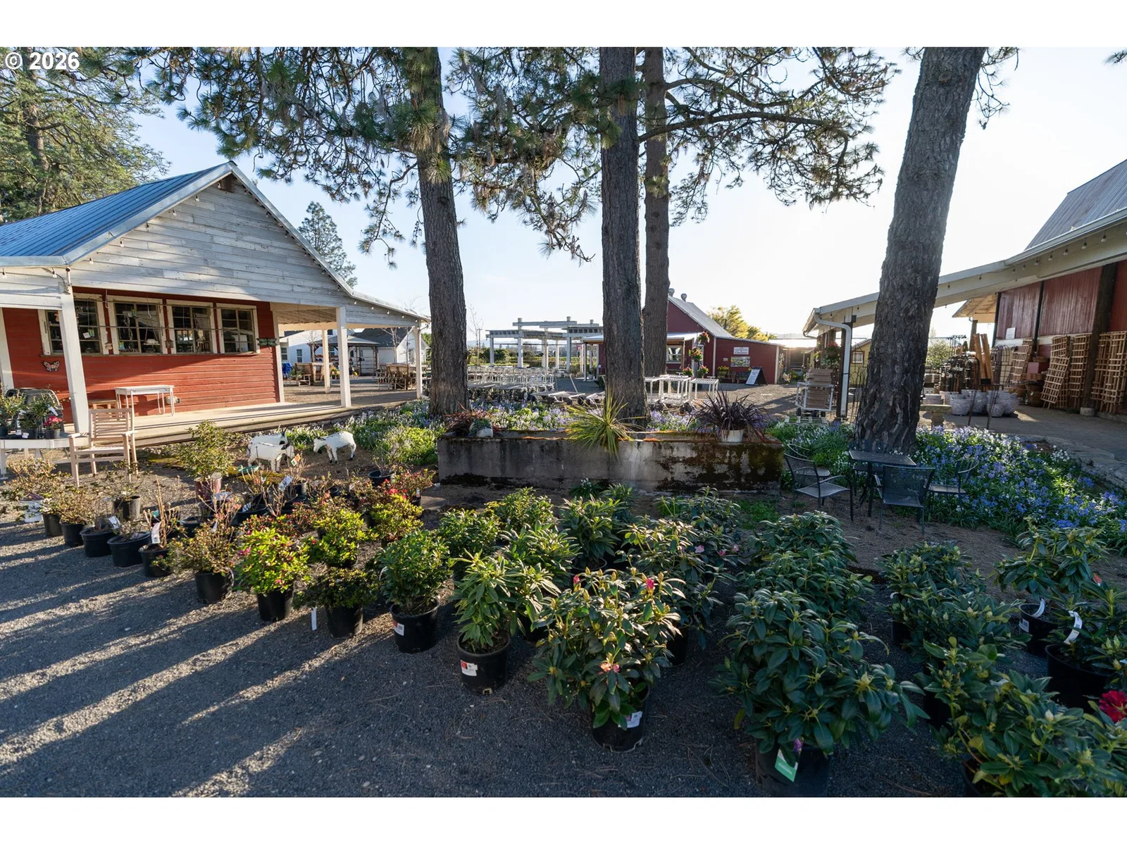 7601 NW Milne Road- Rd, Cornelius, OR 97113 — photograph 6