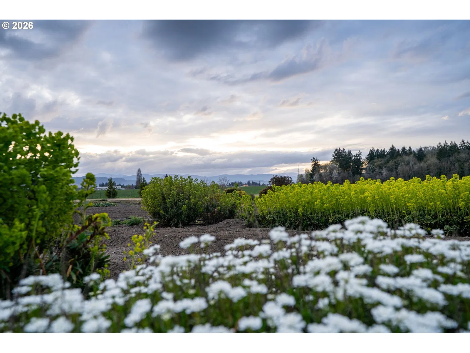 7601 NW Milne Road- Rd, Cornelius, OR 97113 — photograph 42