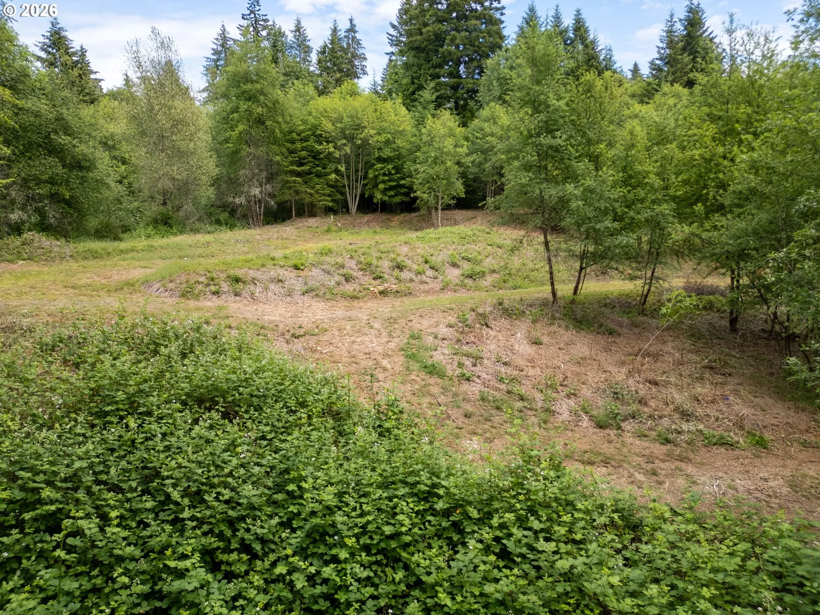 40149 SE Kitzmiller Rd, Eagle Creek, OR 97022 — photograph 13
