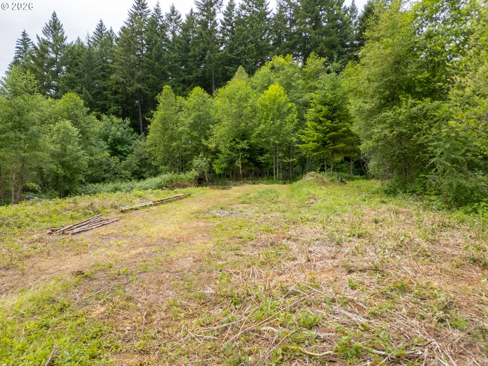 40149 SE Kitzmiller Rd, Eagle Creek, OR 97022 — photograph 14