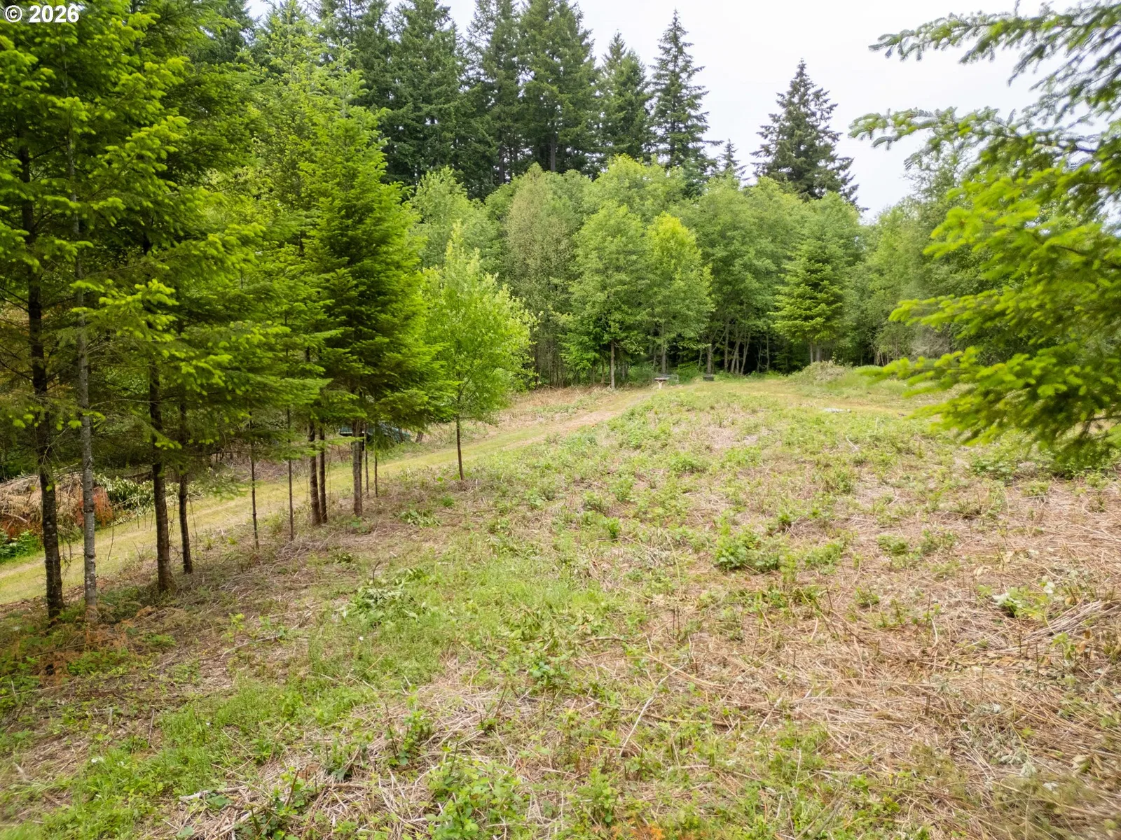 40149 SE Kitzmiller Rd, Eagle Creek, OR 97022 — photograph 15
