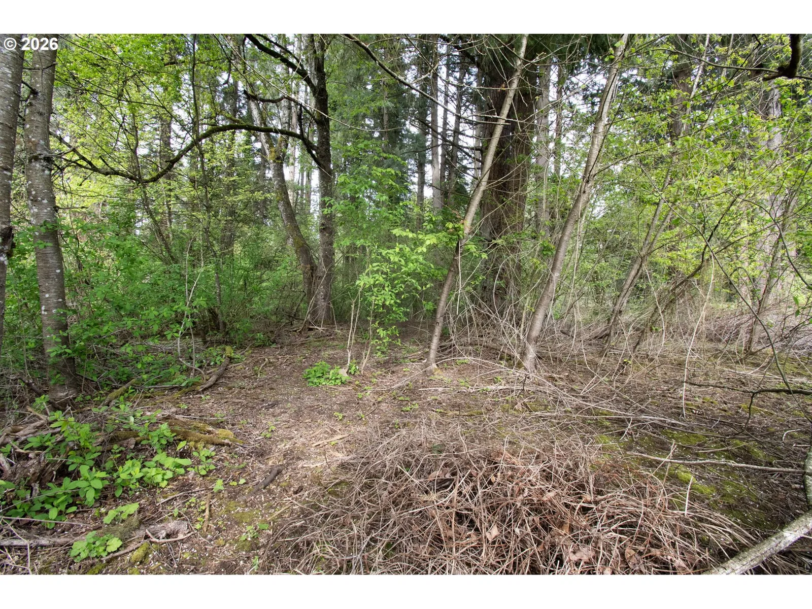 0 NE 45th Ave, Vancouver, Wa 98686 — photograph 8