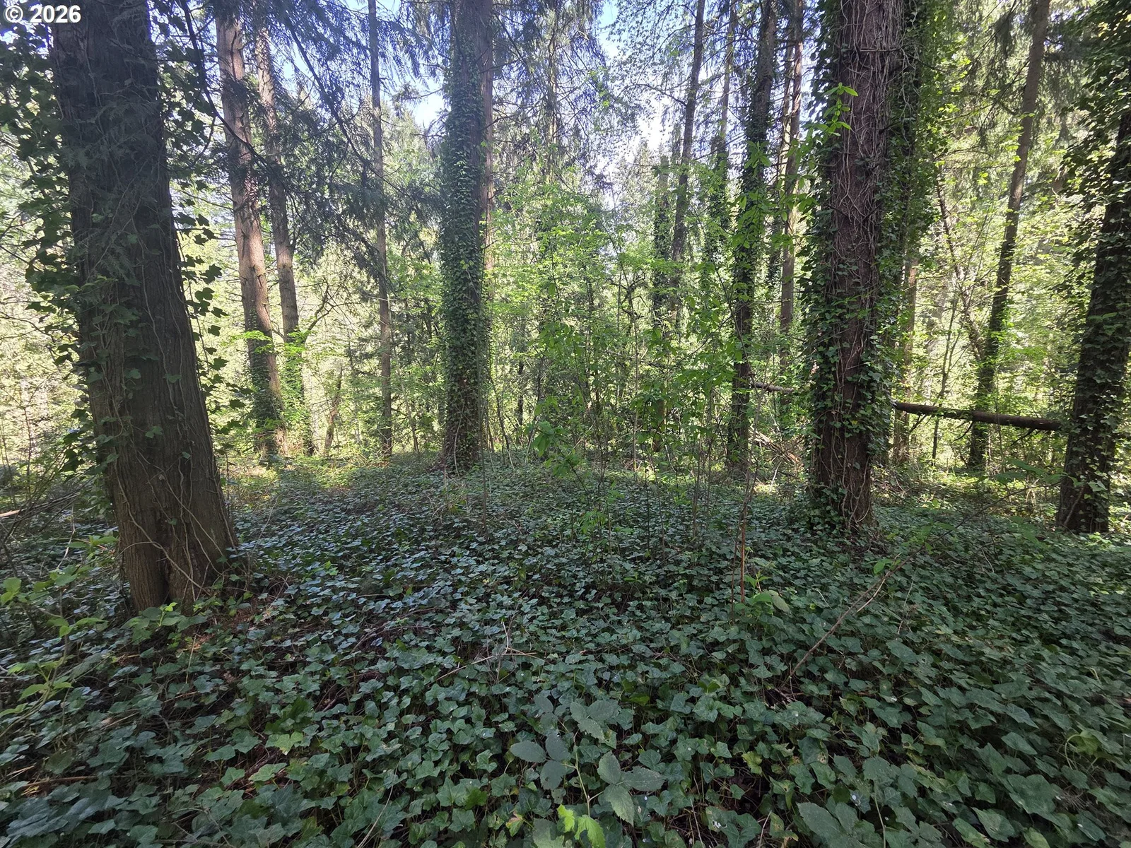 0 NE 45th Ave, Vancouver, Wa 98686 — photograph 19