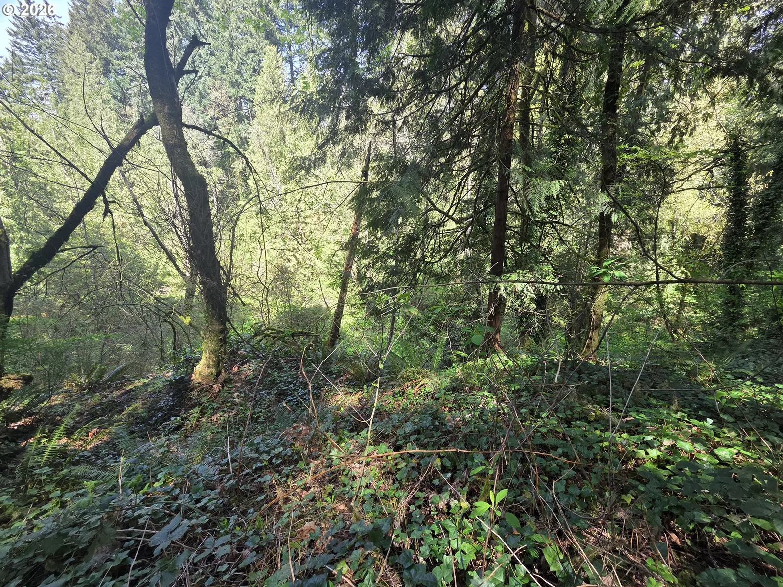 0 NE 45th Ave, Vancouver, Wa 98686 — photograph 21