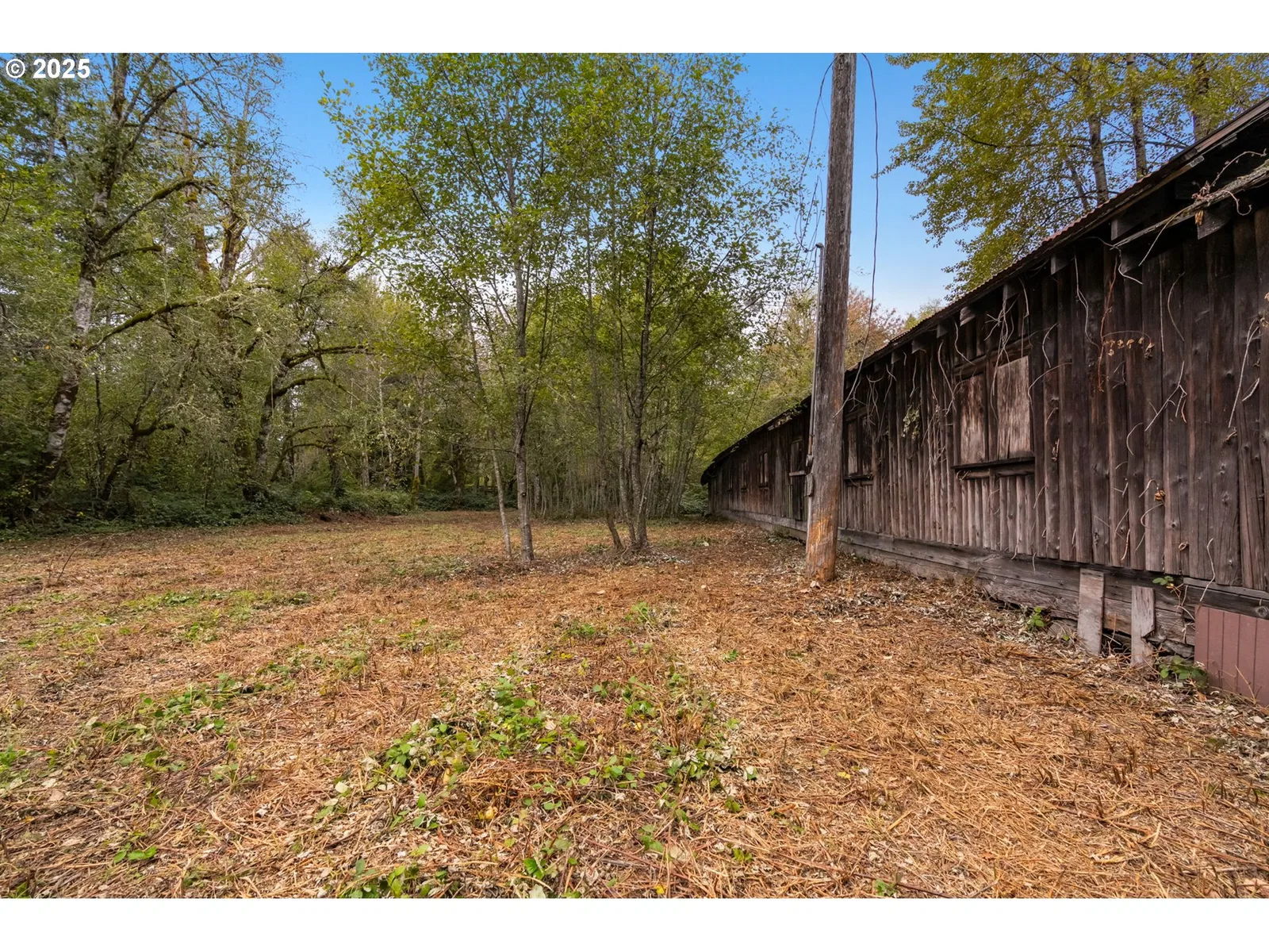 000 NE Yale Bridge Rd, Amboy, Wa 98601 — photograph 9
