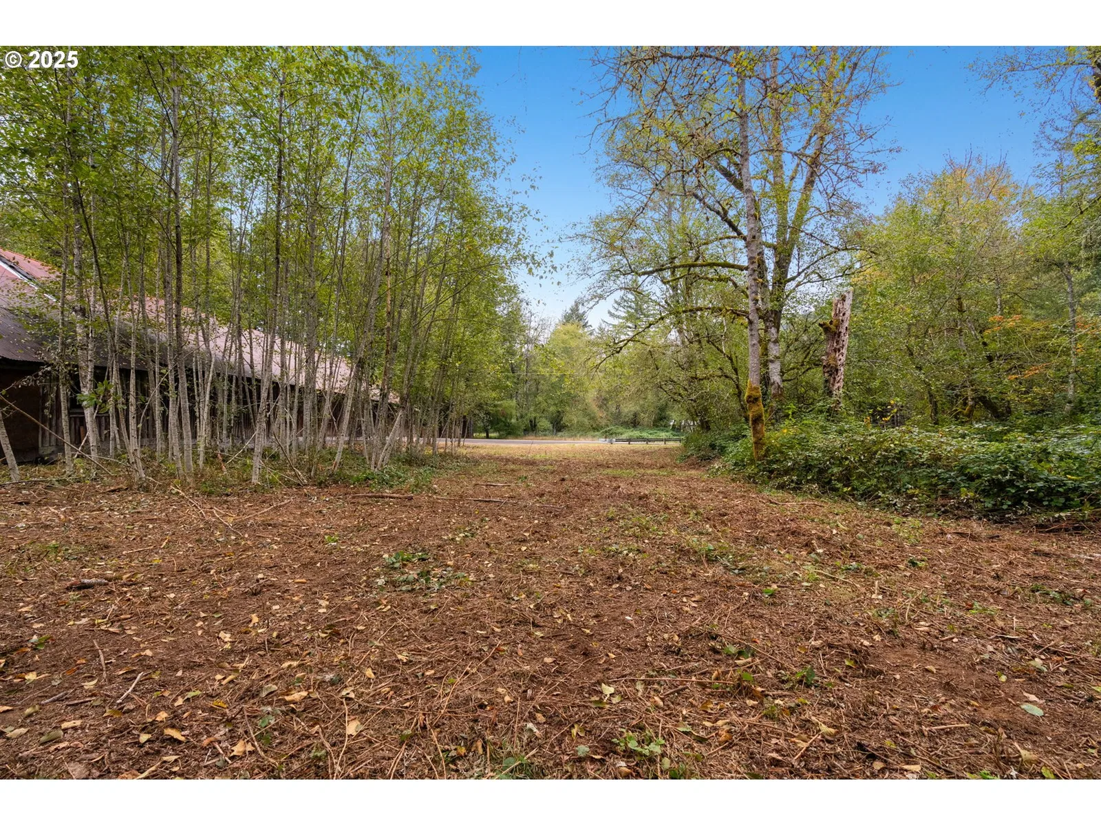 000 NE Yale Bridge Rd, Amboy, Wa 98601 — photograph 11