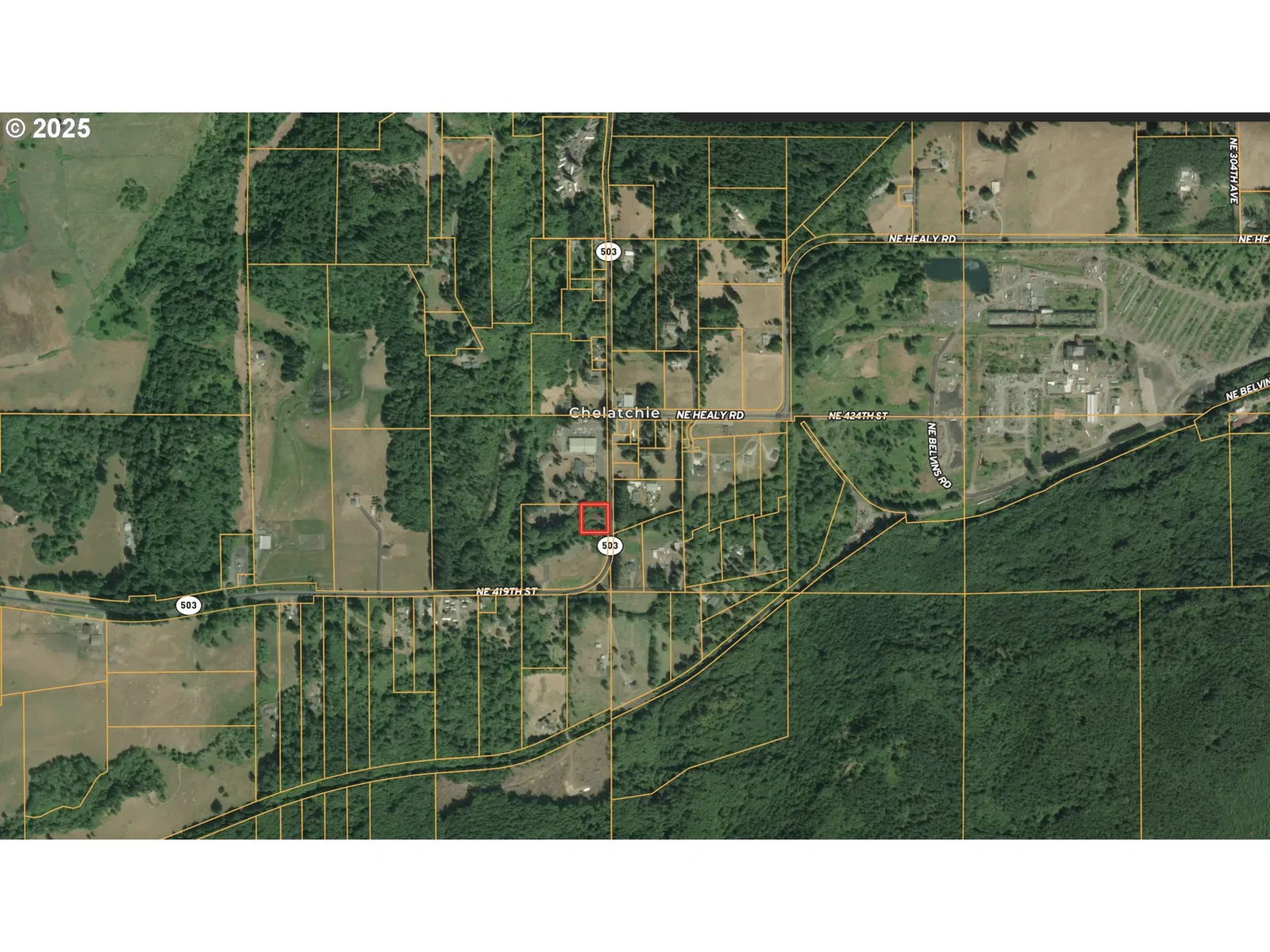 000 NE Yale Bridge Rd, Amboy, Wa 98601 — photograph 29